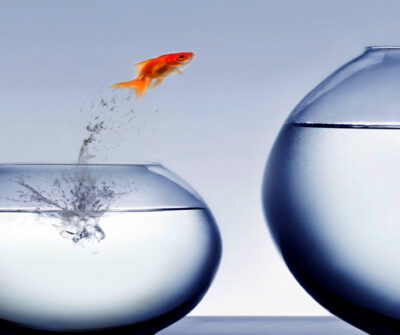 How to Conquer the Limiting Glass for Startups in the Marketplace
